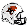 TPCFLCOEBC-CFL- EMBLEM LIONS (12)