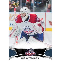 UDH17AHL-17 UPPER DECK AHL HOCKEY