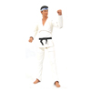 YDST219337-COBRA KAI DANIEL VHS ACTION FIGURE