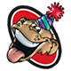 Party Animal Inc