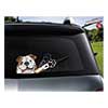 TDPWITABUL-PET WIPER TAG BULLDOG