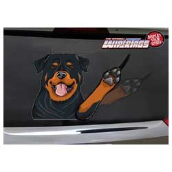 TDPWITAROT-PET WIPER TAG ROTTIWEILER